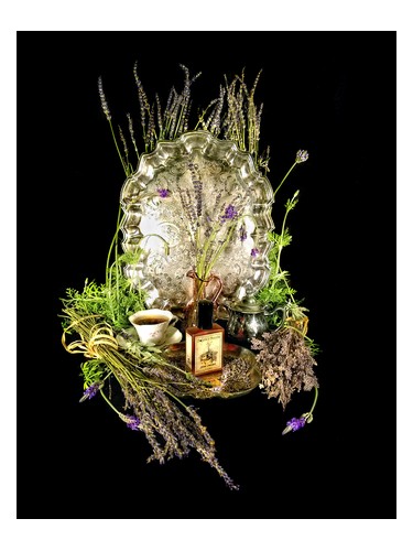 Frasco de Estate Lavender — Solstice Scents