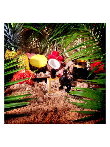 Frasco de Island Blackstrap — Solstice Scents