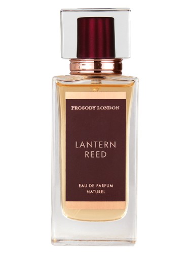 Frasco de Lantern Reed — Prosody London