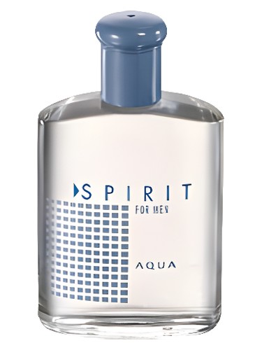 Frasco de Spirit for Men Aqua, de Avon