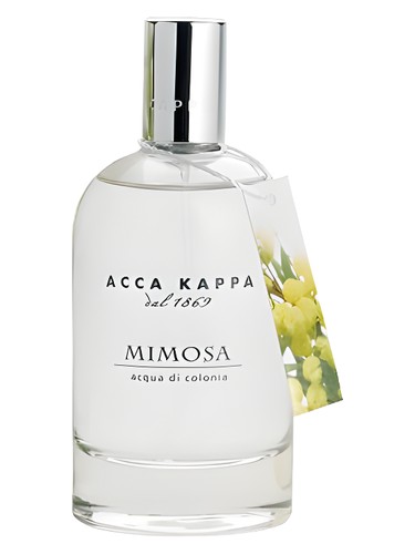 Frasco de Mimosa, de Acca Kappa