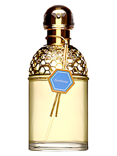Frasco de Aqua Allegoria Gentiana — Guerlain
