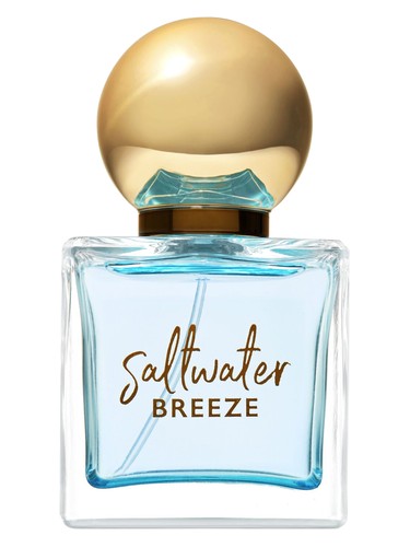 Frasco de Saltwater Breeze — Bath & Body Works