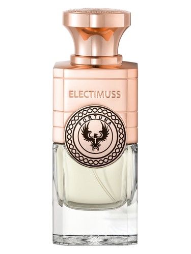 Frasco de Fortuna — Electimuss