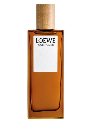 Frasco de Loewe Pour Homme — Loewe