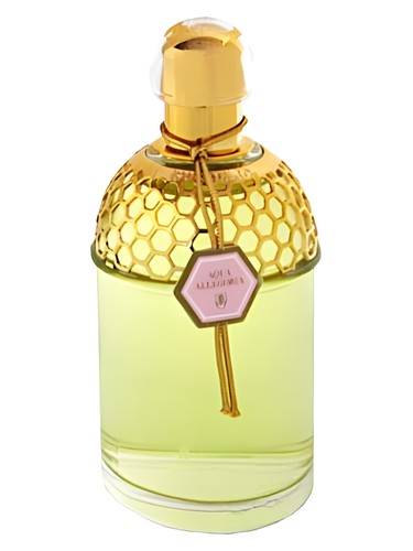 Frasco de Aqua Allegoria Rosa Magnifica — Guerlain