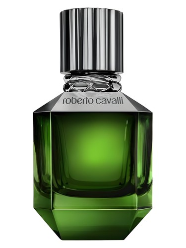 Frasco de Paradise Found For Men, de Roberto Cavalli