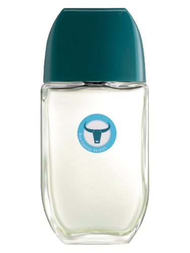 Frasco de Wild Country Outback, de Avon