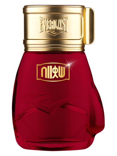 Frasco de Choice Of Champions Street Fighter Hadouken, de Everlast