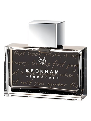 Frasco de Signature Story for Him, de David Beckham