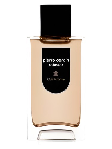 Frasco de Pierre Cardin Collection Cuir Intense, de Pierre Cardin