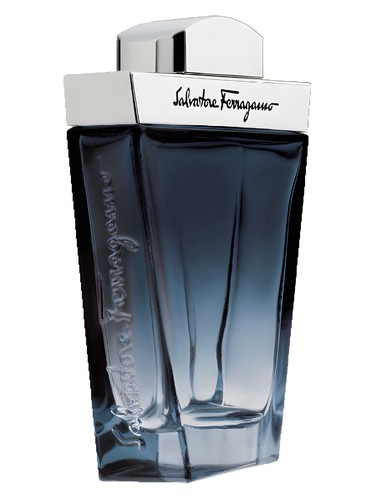 Frasco de Salvatore Ferragamo Subtil Pour Homme, de Salvatore Ferragamo