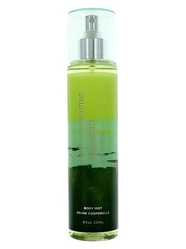 Frasco de Amber Eucalyptus, de Aéropostale