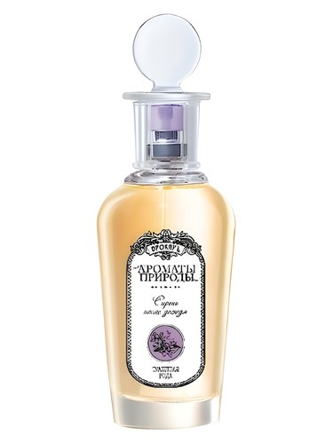 Frasco de Сирень после дождя - Lilac After The Rain — Brocard