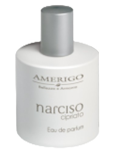 Frasco de Narciso Cipriato, de Amerigo