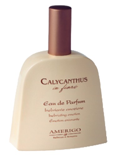 Frasco de Calycanthus In Fiore — Amerigo