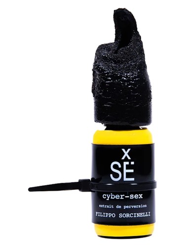 Frasco de cyber-sex — Filippo Sorcinelli
