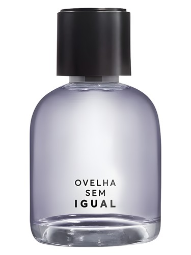 Frasco de Ovelha Sem Igual, de Quem Disse Berenice
