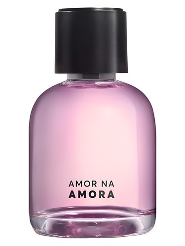 Frasco de Amor na Amora — Quem Disse Berenice