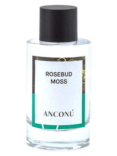 Frasco de Rosebud Moss, de Anconu