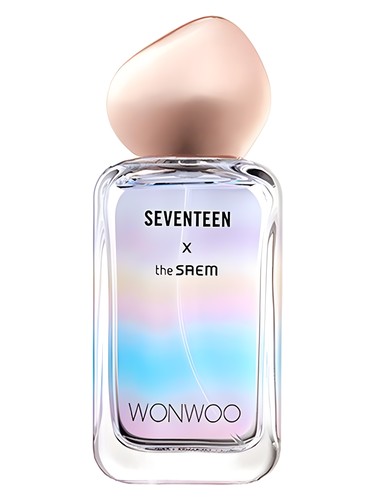 Frasco de Seventeen X Wonwoo, de The SAEM