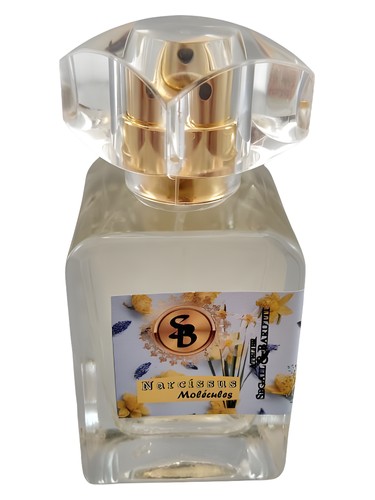 Frasco de Narcissus Molécules — Atelier Segall & Barutti