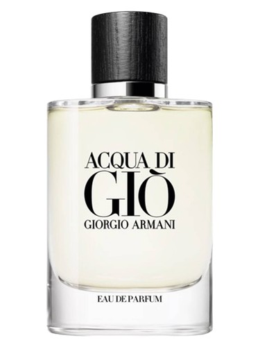 Frasco de Acqua di Giò Eau de Parfum — Giorgio Armani