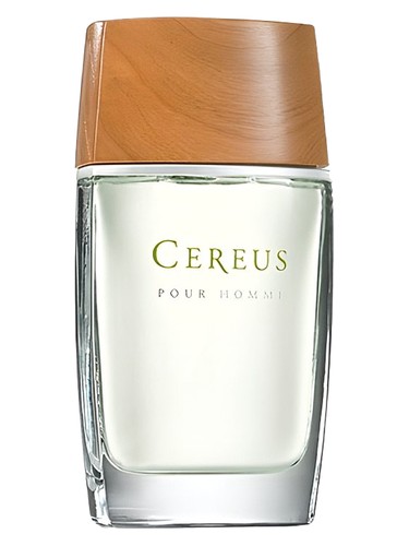 Frasco de Cereus No. 6, de Cereus
