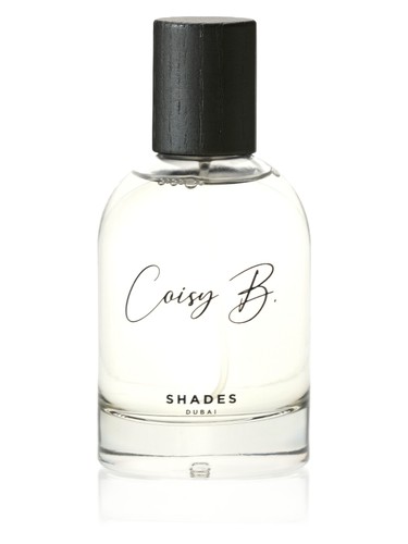 Frasco de Shades — Coisy B.