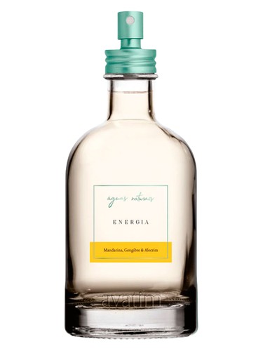 Frasco de Águas Naturais Energia — Avatim