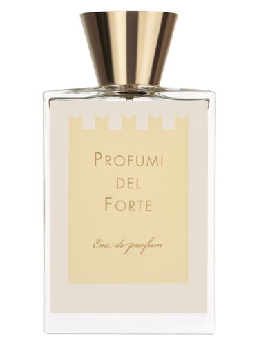Frasco de Ambra Mediterranea (Versilia Vintage Ambra Mediterranea) — Profumi del Forte