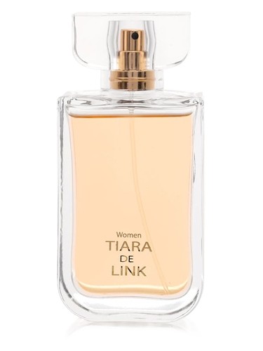 Frasco de Tiara De Link, de LINK