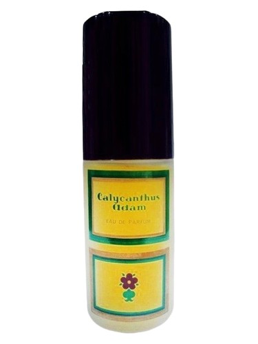 Frasco de Calycanthus, de Adam