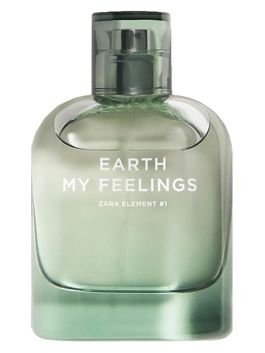 Frasco de Earth My Feelings — Zara
