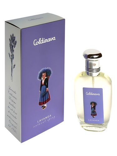 Frasco de Lavanda Coldinava, de Nicky Chini