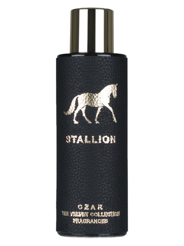 Frasco de Stallion X Aslan Gülçiçek — CZAR
