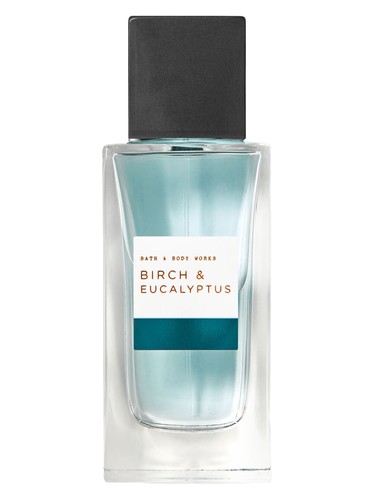 Frasco de Birch & Eucalyptus, de Bath & Body Works