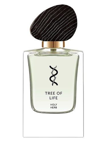 Frasco de Holy Herb, de Tree Of Life