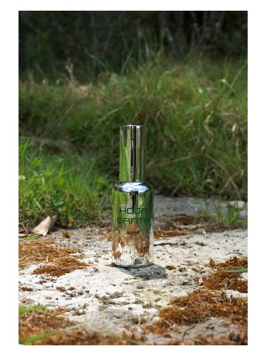 Frasco de Hoja Santa, de Scent
