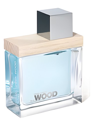 Frasco de She Wood Crystal Creek Wood — DSQUARED2