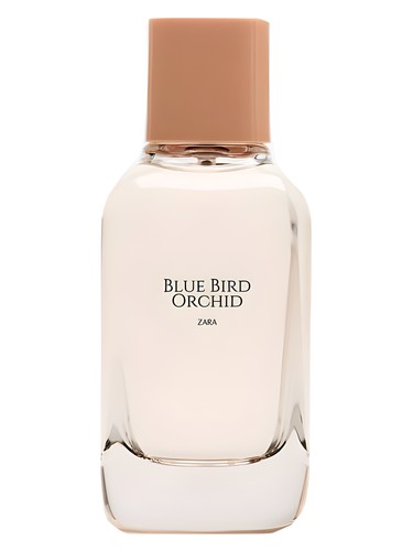 Frasco de Blue Bird Orchid, de Zara