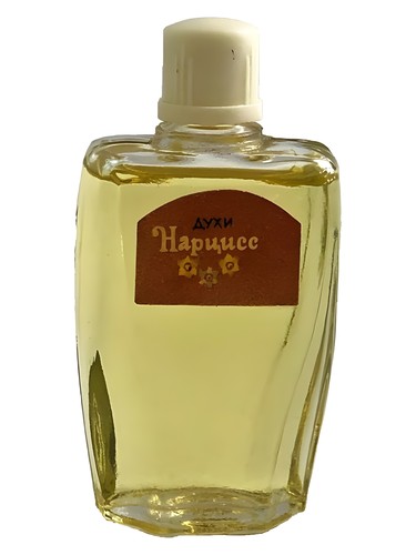 Frasco de Нарцисс (Narcissus), de Северное сияние