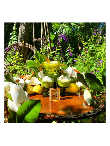 Frasco de Solstice Magnolia, de Solstice Scents