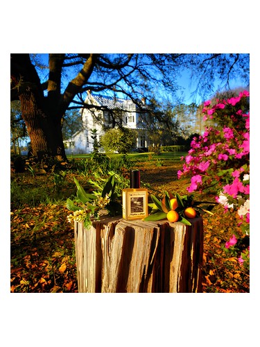 Frasco de Farmhouse In Spring, de Solstice Scents