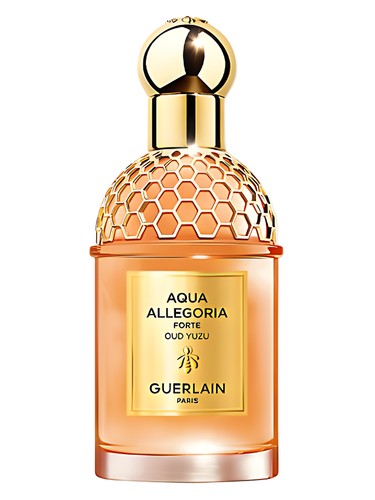 Frasco de Aqua Allegoria Forte Oud Yuzu — Guerlain