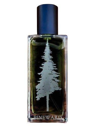 Frasco de Coastal Veil — Pineward Perfumes