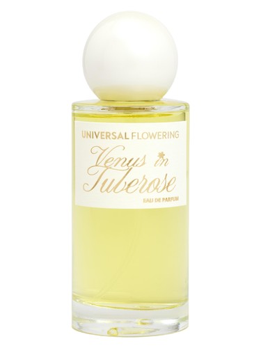 Frasco de Venus in Tuberose — Universal Flowering