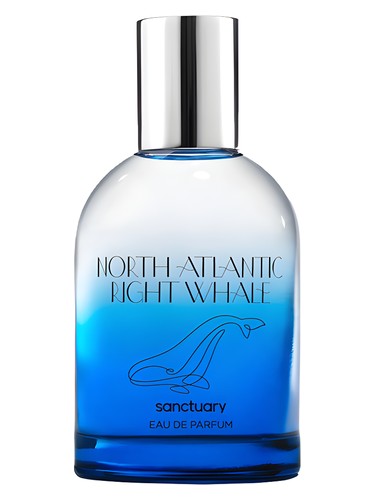 Frasco de North Atlantic Right Whale, de Sanctuary