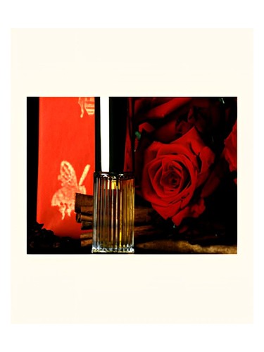Frasco de Poivre — DSH Perfumes