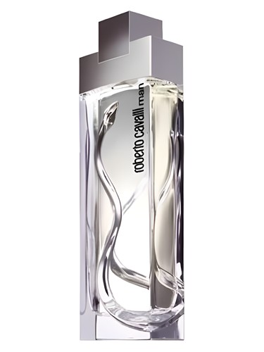 Frasco de Roberto Cavalli Man — Roberto Cavalli